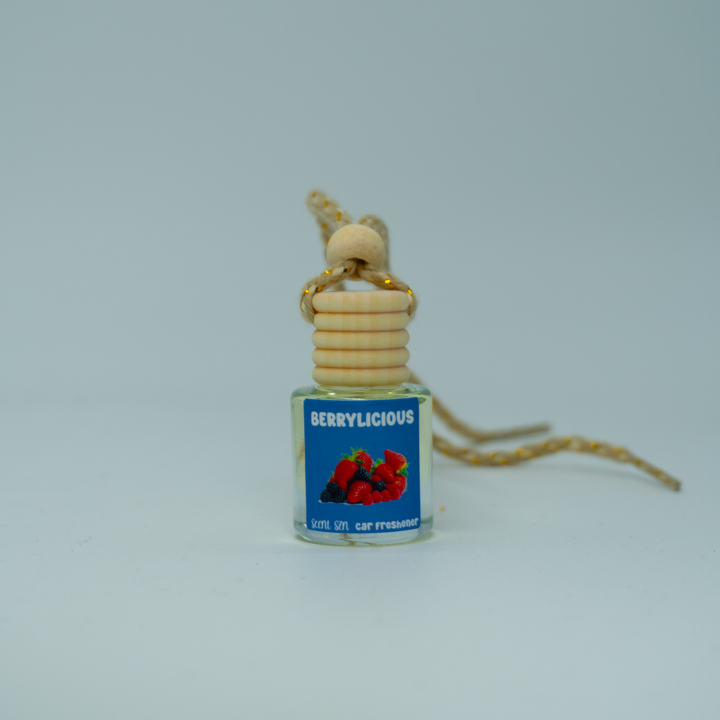 Hanging Car Air Freshener Diffusers