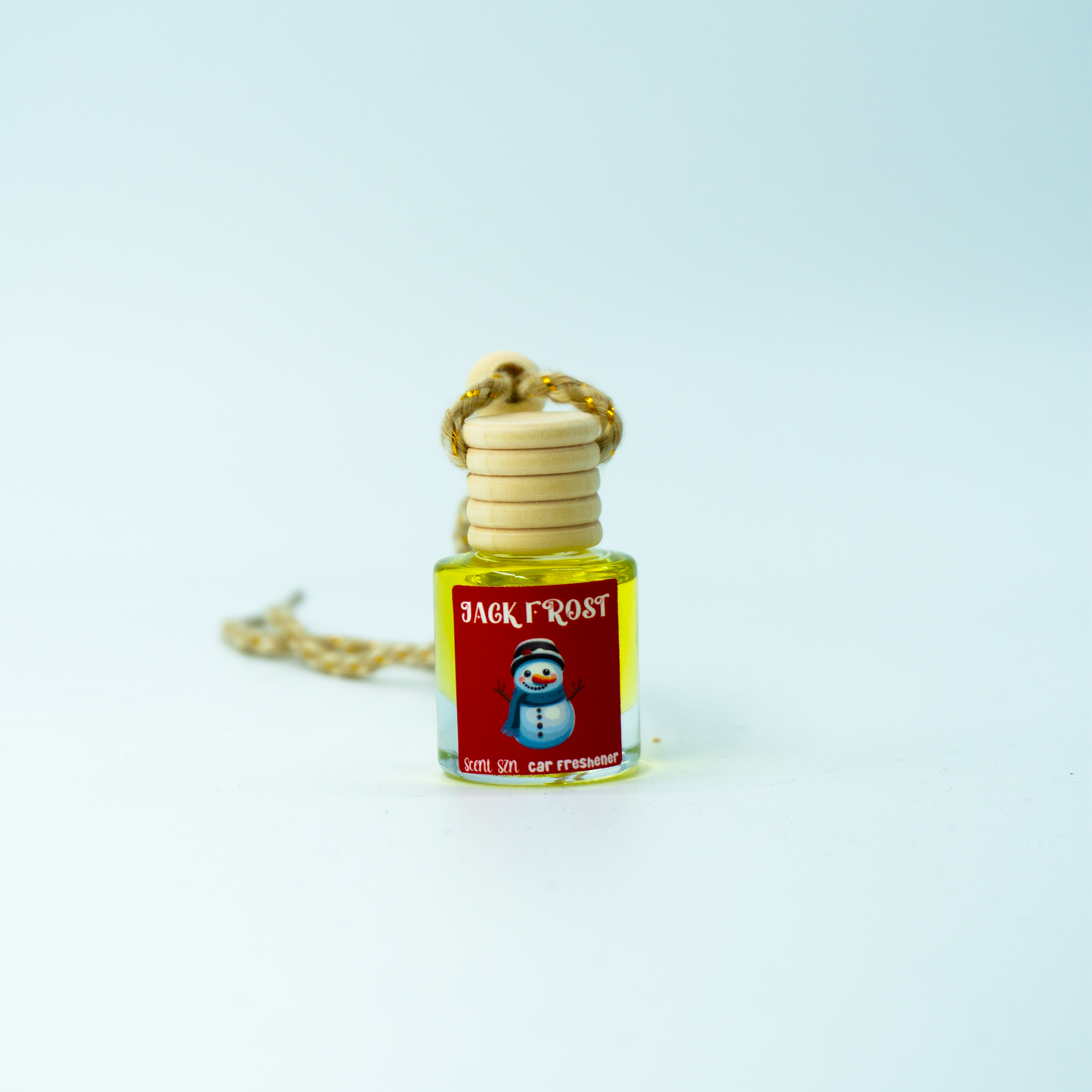 Hanging Car Air Freshener Diffusers
