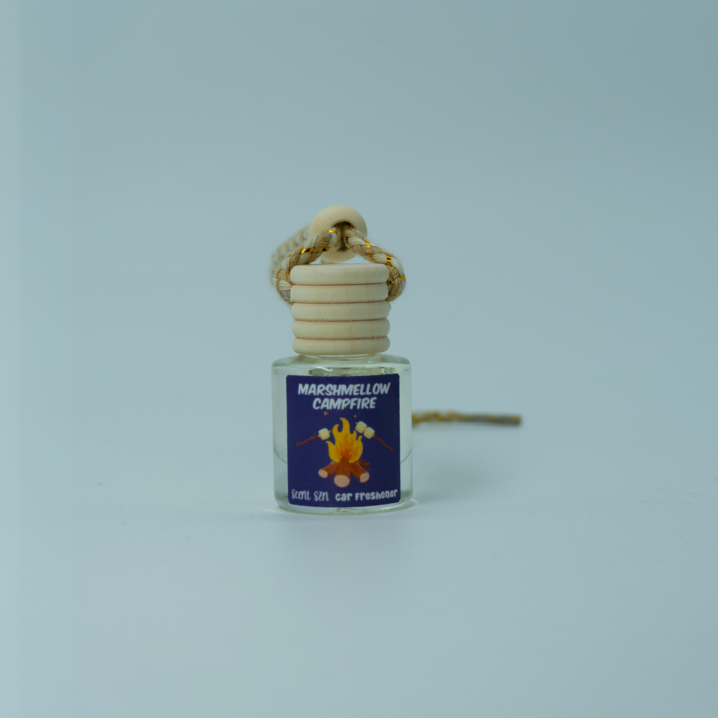 Hanging Car Air Freshener Diffusers